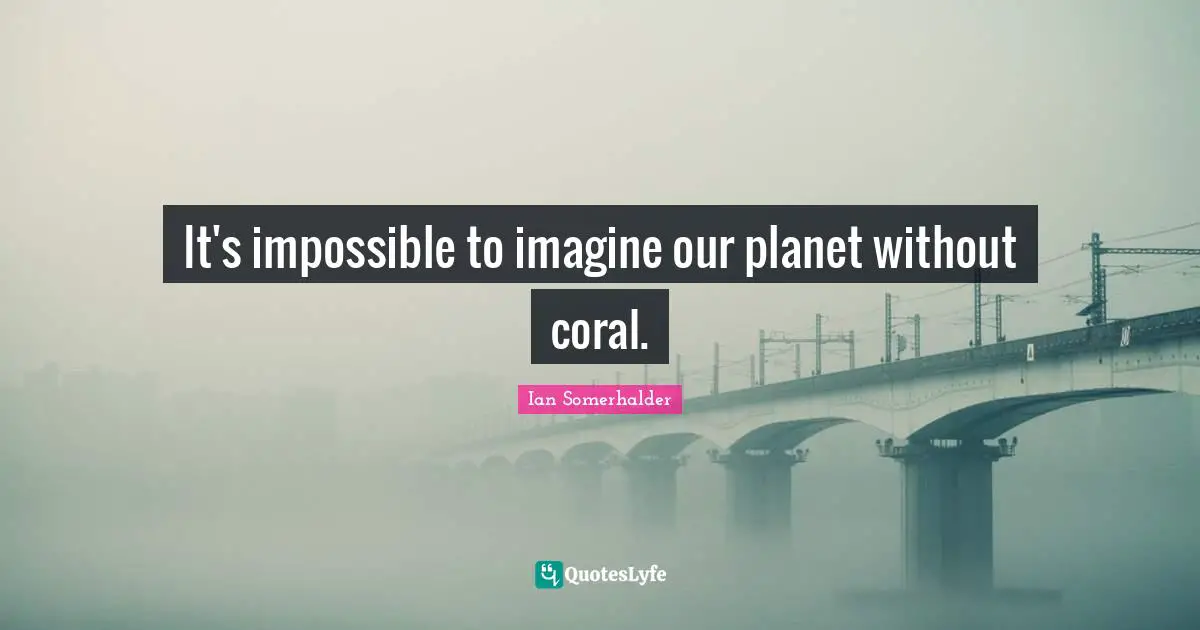 Planets Quotes: "It's impossible to imagine our planet without coral."