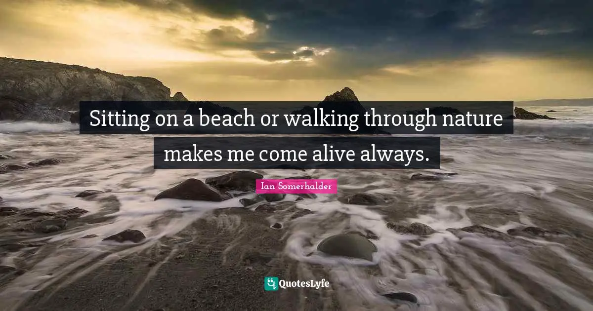Ian Somerhalder Quotes: "Sitting on a beach or walking through nature makes me come alive always."