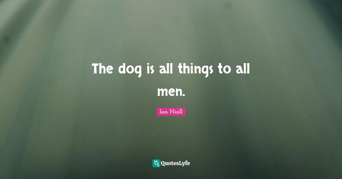 The dog is all things to all men.