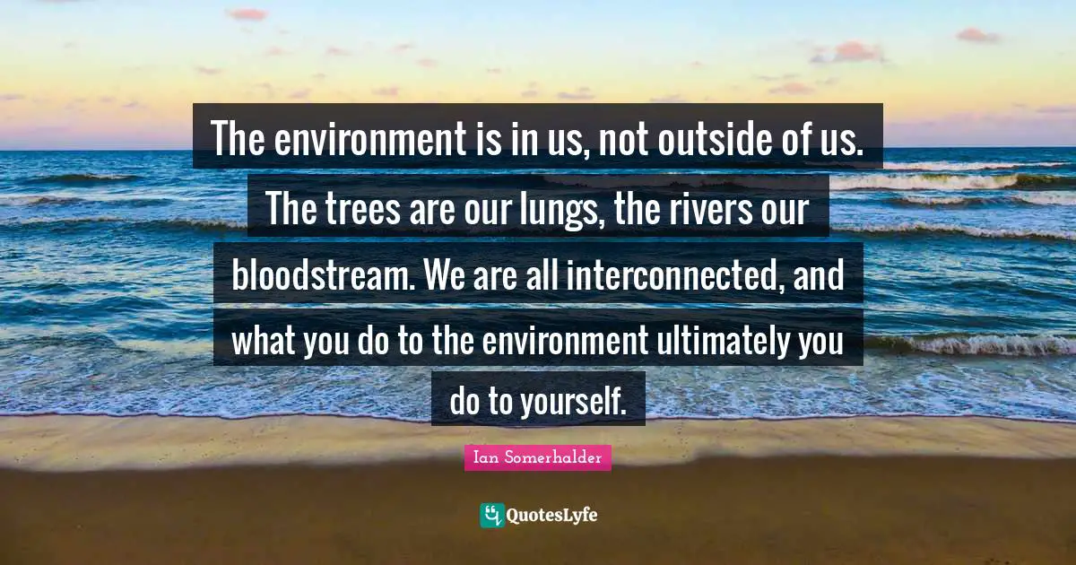 Ian Somerhalder Quotes: "The environment is in us, not outside of us. The trees are our lungs, the rivers our bloodstream. We are all interconnected, and what you do to the environment ultimately you do to yourself."