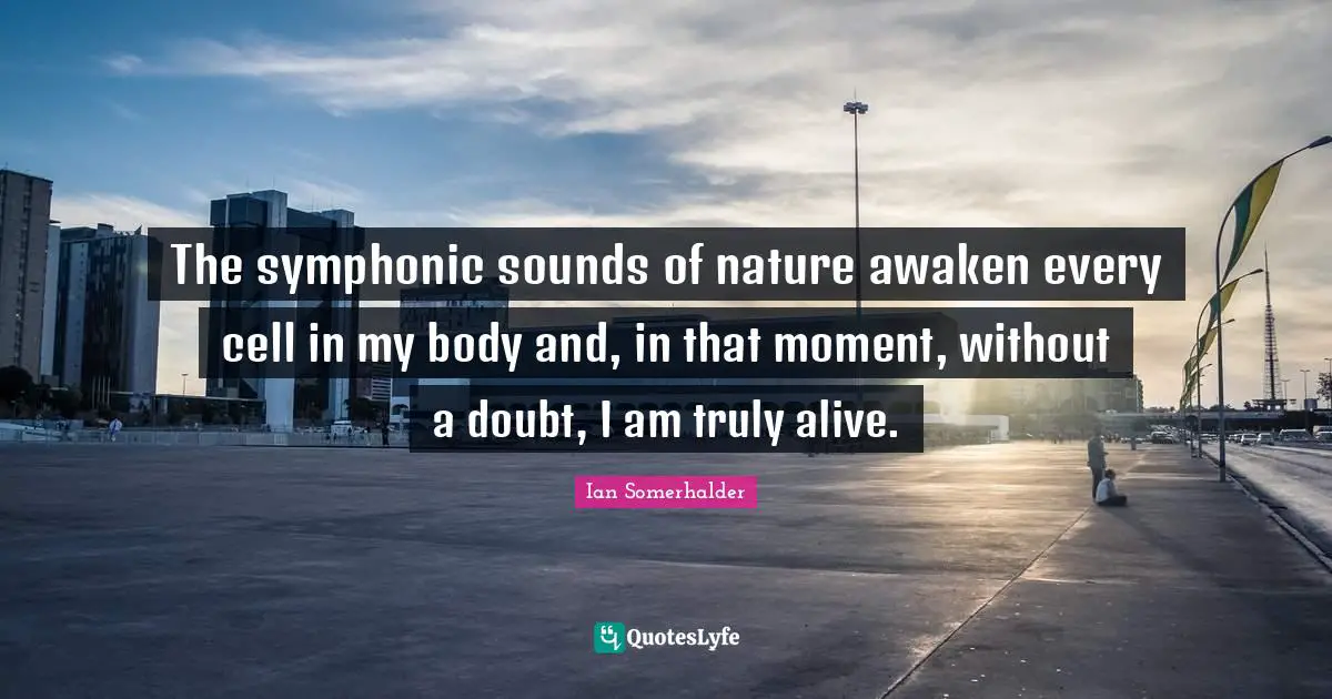 The symphonic sounds of nature awaken every cell in my body and, in that moment, without a doubt, I am truly alive.