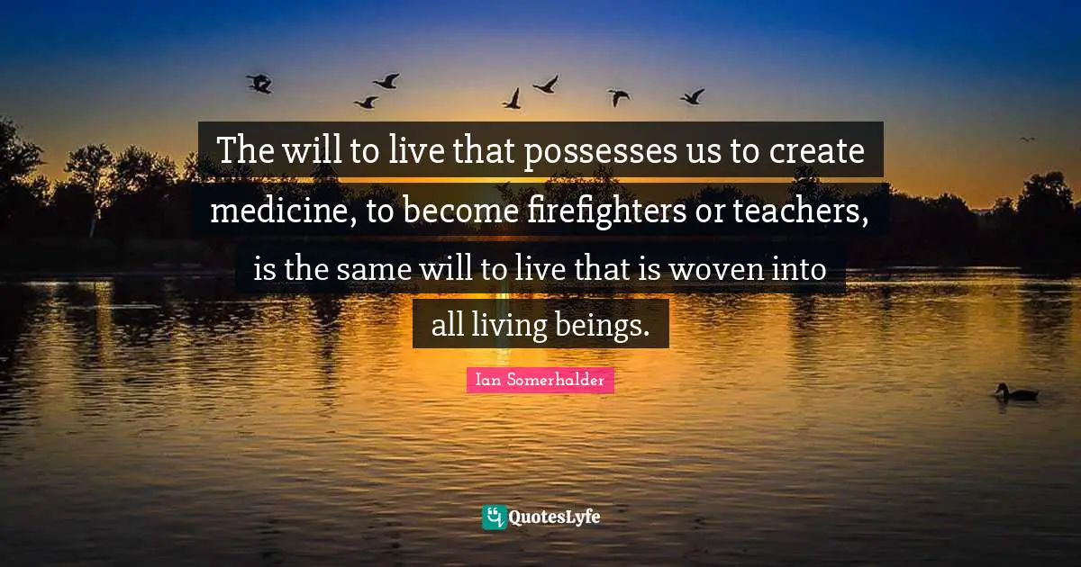The will to live that possesses us to create medicine, to become firefighters or teachers, is the same will to live that is woven into all living beings.