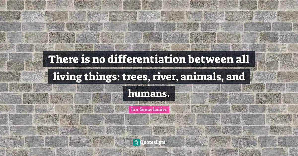 Ian Somerhalder Quotes: "There is no differentiation between all living things: trees, river, animals, and humans."