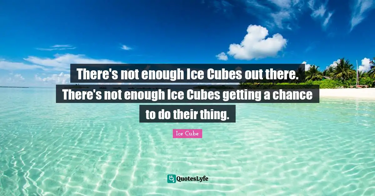 There's not enough Ice Cubes out there. There's not enough Ice Cubes getting a chance to do their thing.