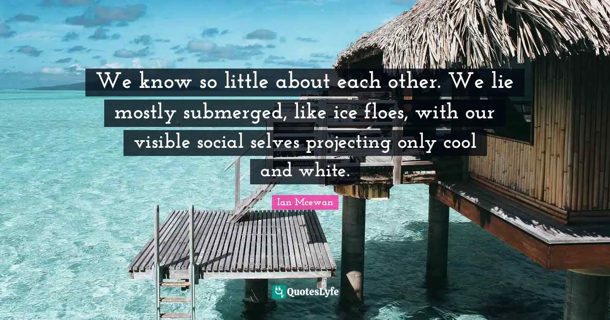We know so little about each other. We lie mostly submerged, like ice floes, with our visible social selves projecting only cool and white.