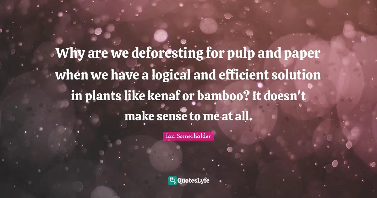 Why are we deforesting for pulp and paper when we have a logical and efficient solution in plants like kenaf or bamboo? It doesn't make sense to me at all.