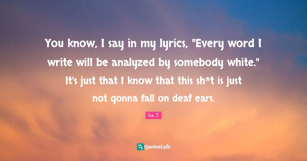 You know, I say in my lyrics, "Every word I write will be analyzed by somebody white." It's just that I know that this sh*t is just not gonna fall on deaf ears.