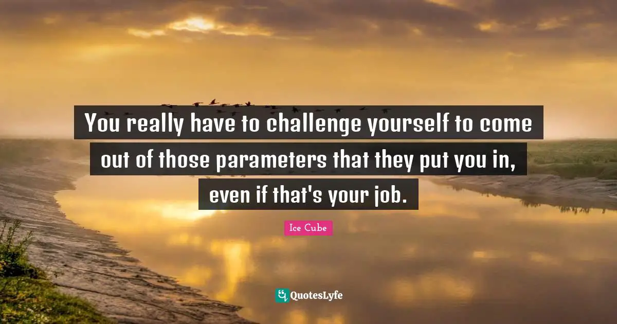 Challenge Yourself Quotes: "You really have to challenge yourself to come out of those parameters that they put you in, even if that's your job."