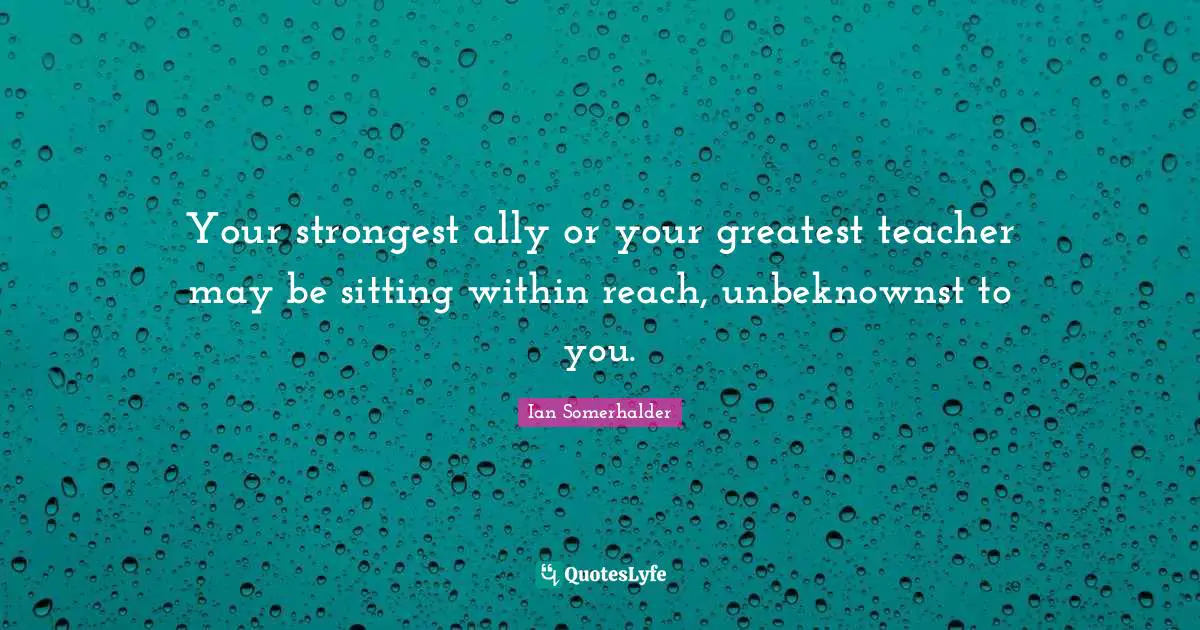 Your strongest ally or your greatest teacher may be sitting within reach, unbeknownst to you.