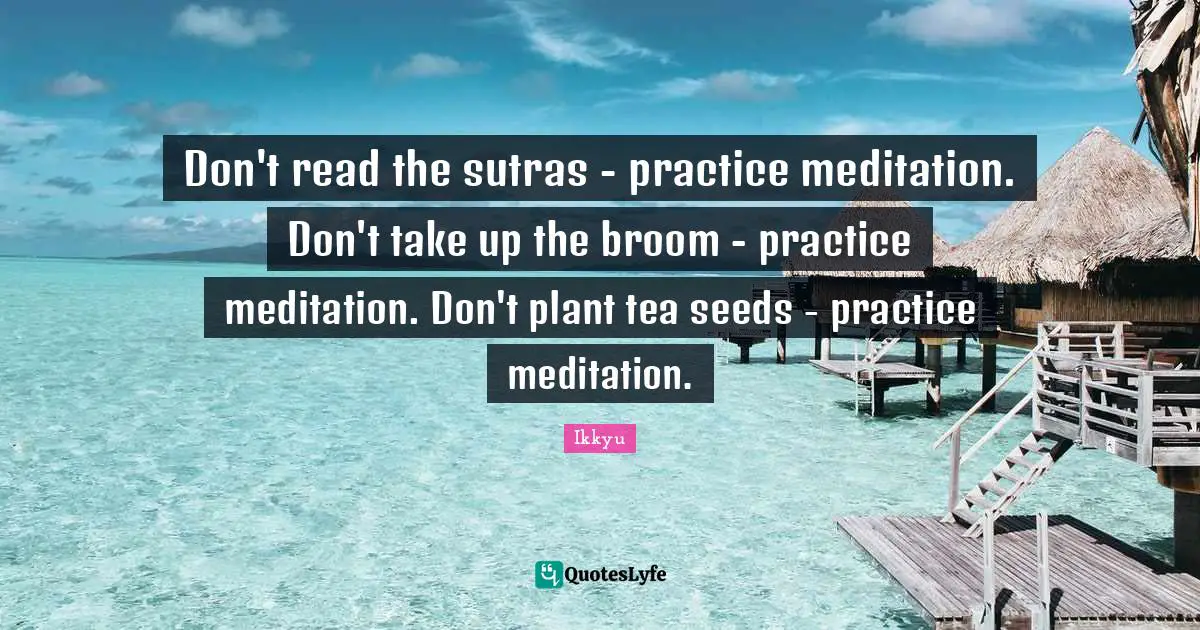 Seeds Quotes: "Don't read the sutras - practice meditation. Don't take up the broom - practice meditation. Don't plant tea seeds - practice meditation."