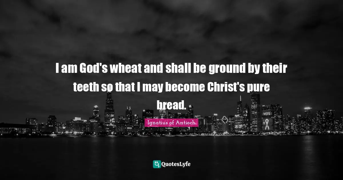 I am God's wheat and shall be ground by their teeth so that I may become Christ's pure bread.