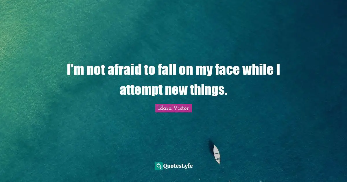 I'm not afraid to fall on my face while I attempt new things.