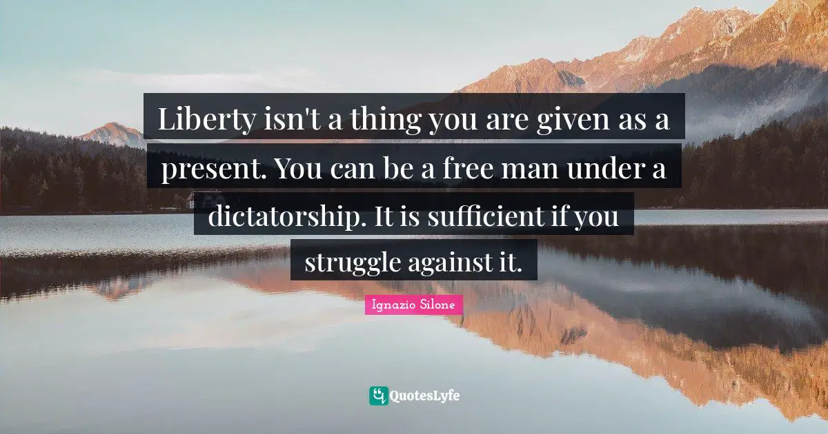 Liberty isn't a thing you are given as a present. You can be a free man under a dictatorship. It is sufficient if you struggle against it.