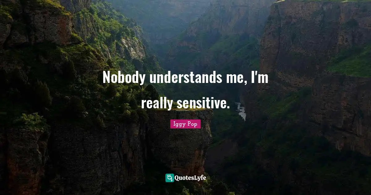 Iggy Pop Quotes: "Nobody understands me, I'm really sensitive."
