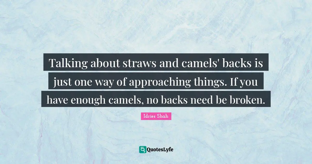 Talking about straws and camels' backs is just one way of approaching things. If you have enough camels, no backs need be broken.