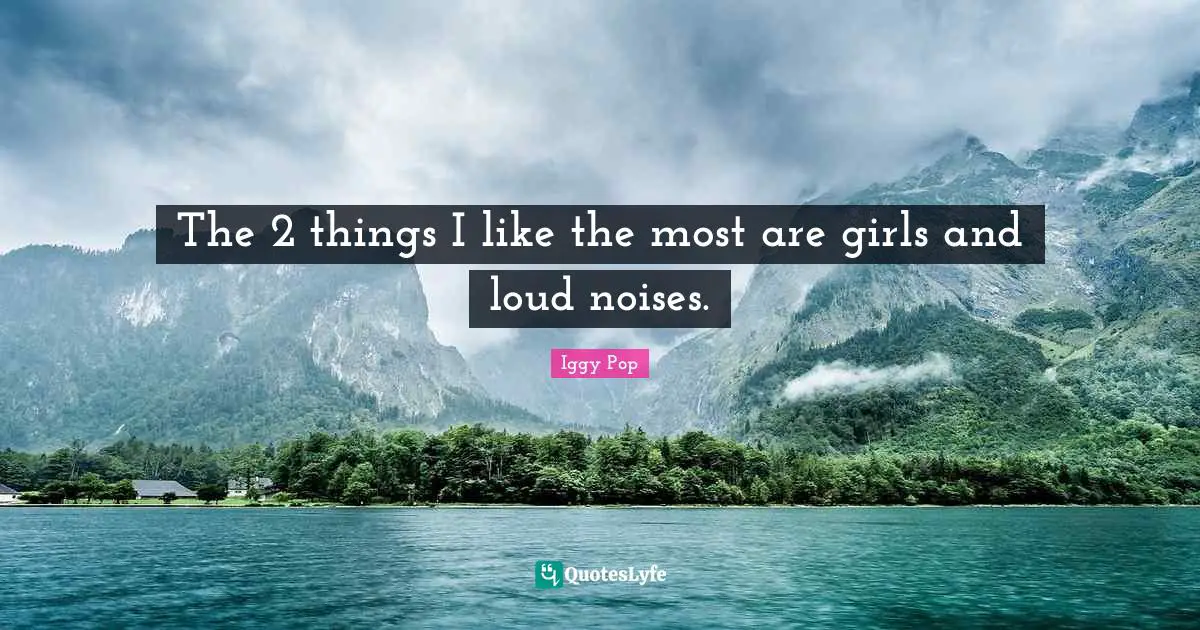 Iggy Pop Quotes: "The 2 things I like the most are girls and loud noises."