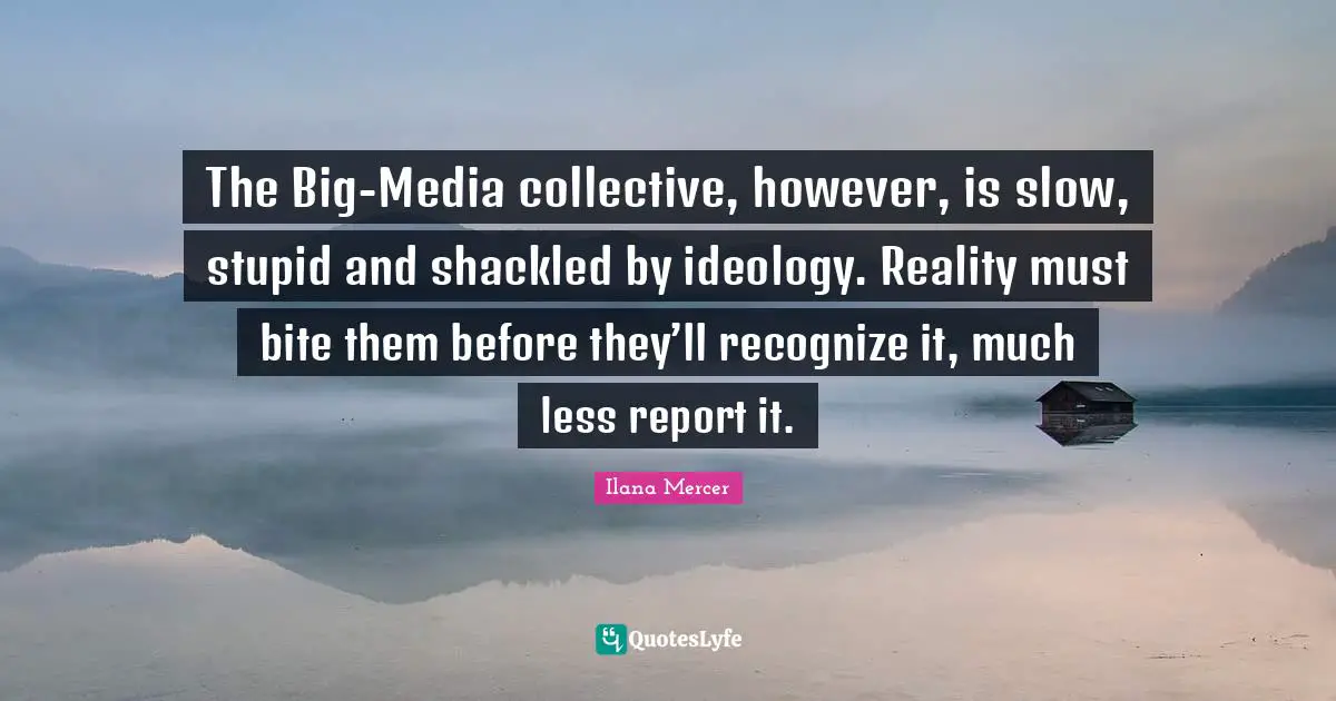 Ilana Mercer Quotes: "The Big-Media collective, however, is slow, stupid and shackled by ideology. Reality must bite them before they’ll recognize it, much less report it."