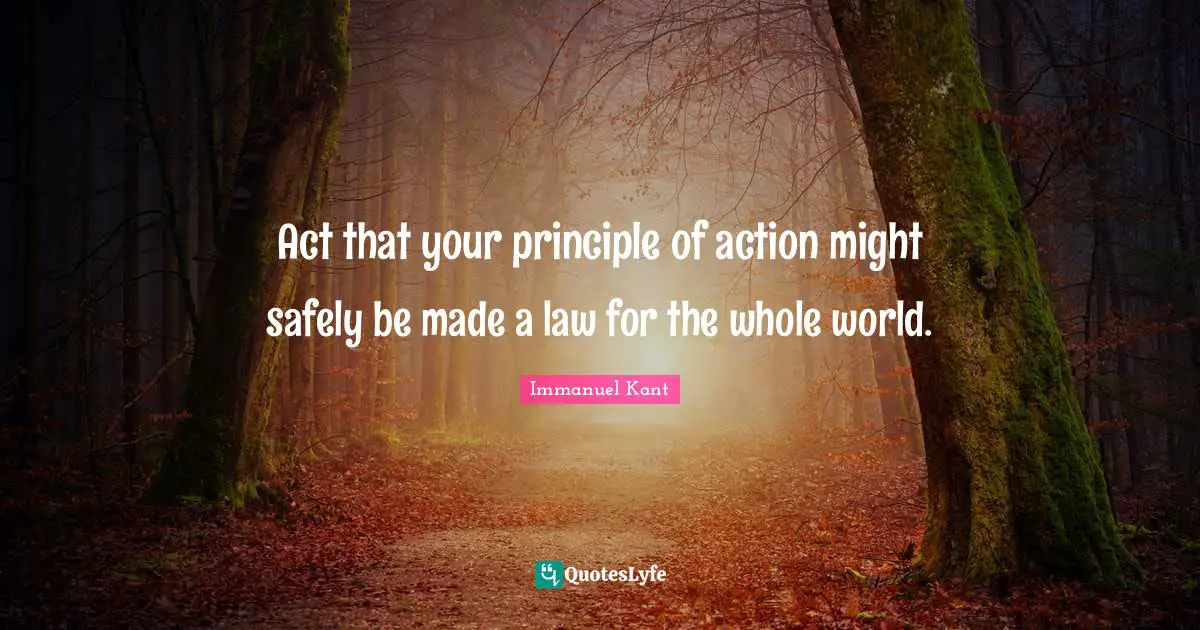 Act that your principle of action might safely be made a law for the whole world.