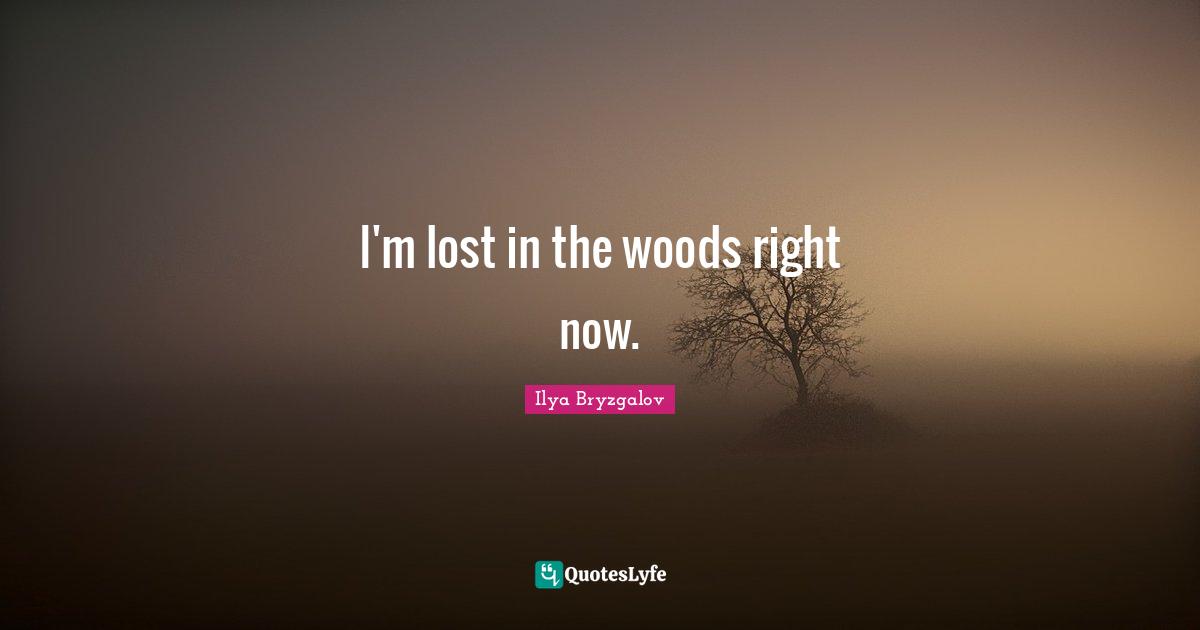 I'm lost in the woods right now.