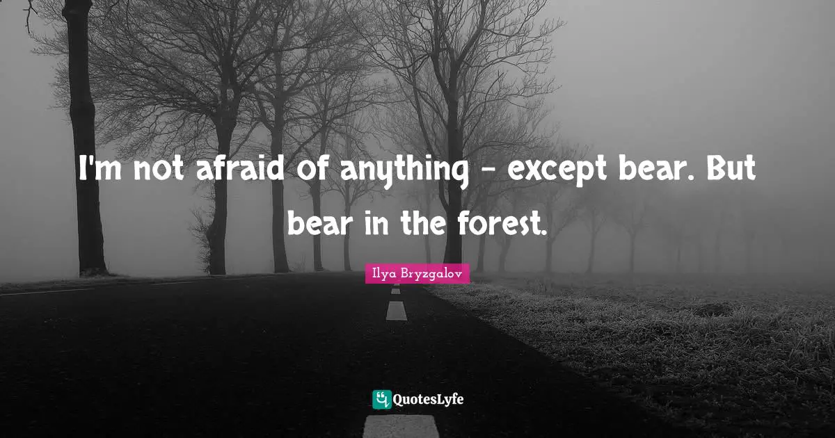 Not Afraid Quotes: "I'm not afraid of anything - except bear. But bear in the forest."
