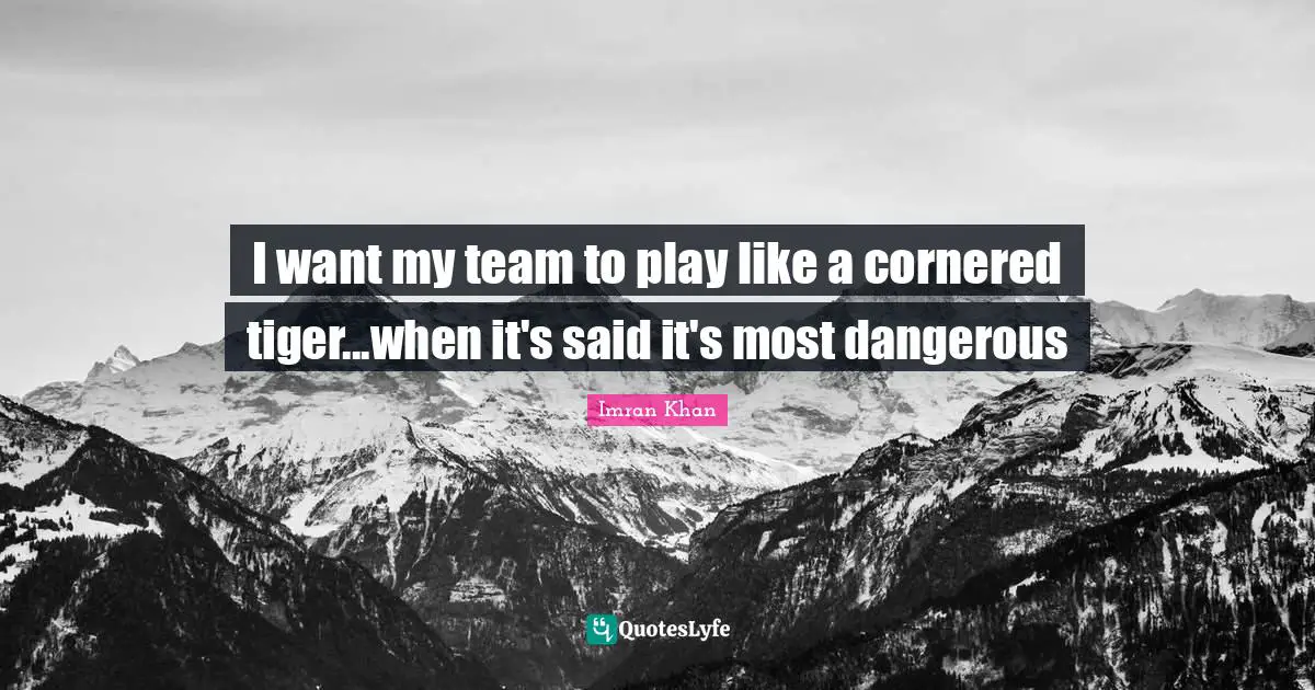 I want my team to play like a cornered tiger...when it's said it's most dangerous