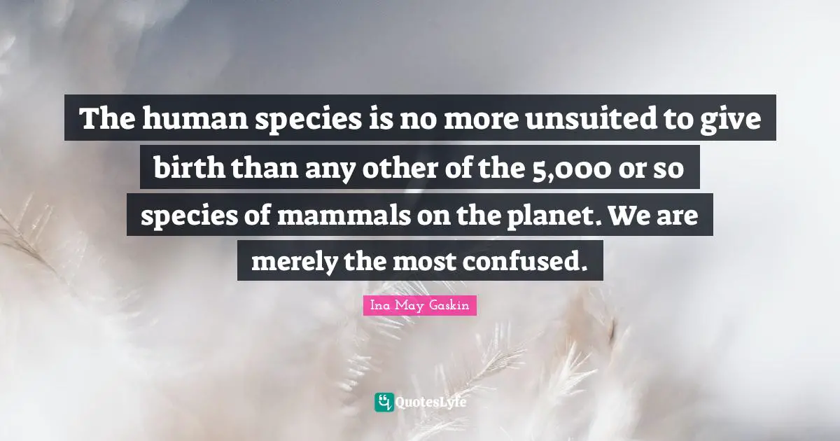 The human species is no more unsuited to give birth than any other of the 5,000 or so species of mammals on the planet. We are merely the most confused.