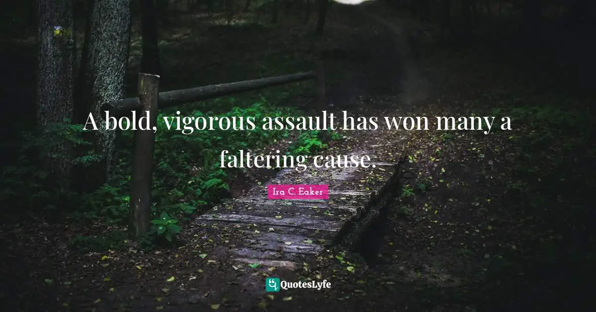 A bold, vigorous assault has won many a faltering cause.