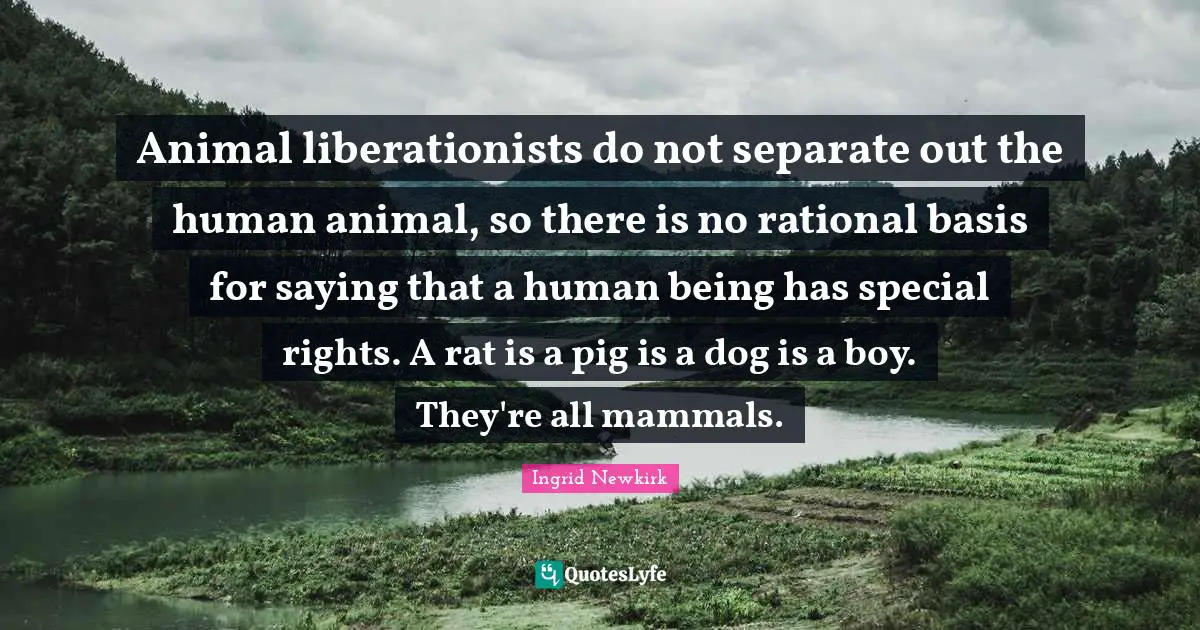 Ingrid Newkirk Quotes: "Animal liberationists do not separate out the human animal, so there is no rational basis for saying that a human being has special rights. A rat is a pig is a dog is a boy. They're all mammals."