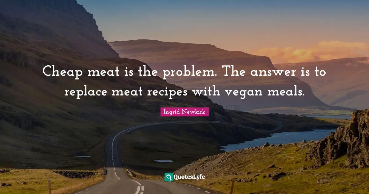 Cheap meat is the problem. The answer is to replace meat recipes with vegan meals.