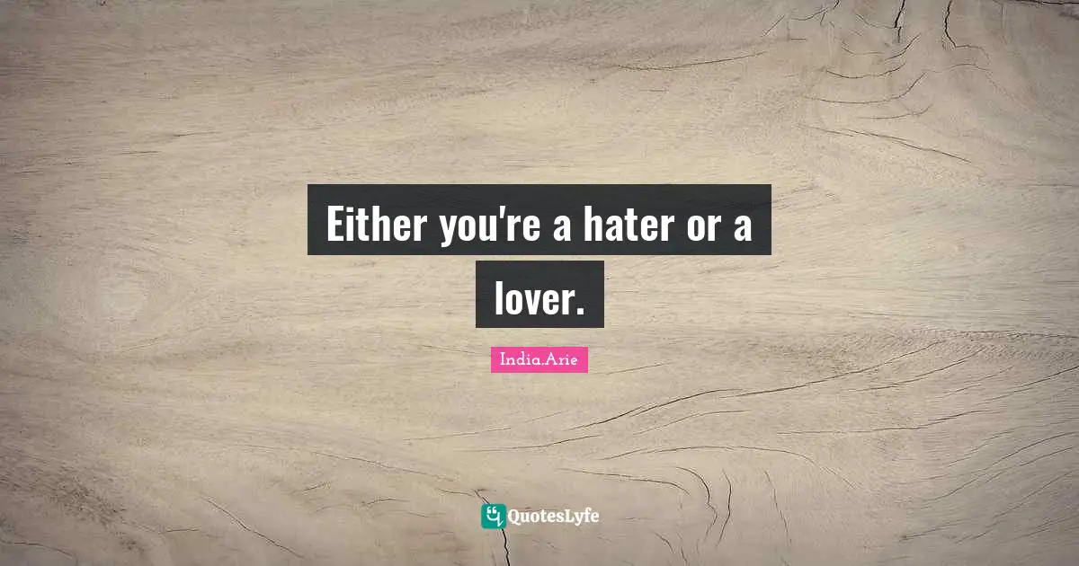 India Arie Quotes: "Either you're a hater or a lover."
