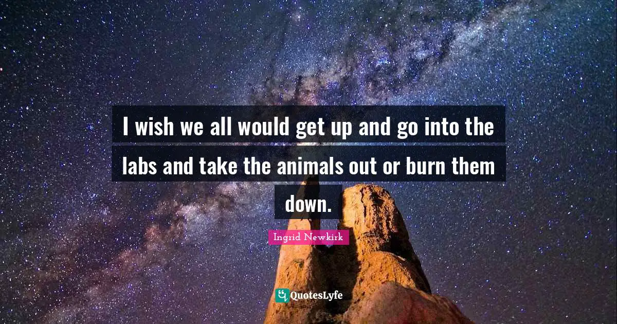 Ingrid Newkirk Quotes: "I wish we all would get up and go into the labs and take the animals out or burn them down."