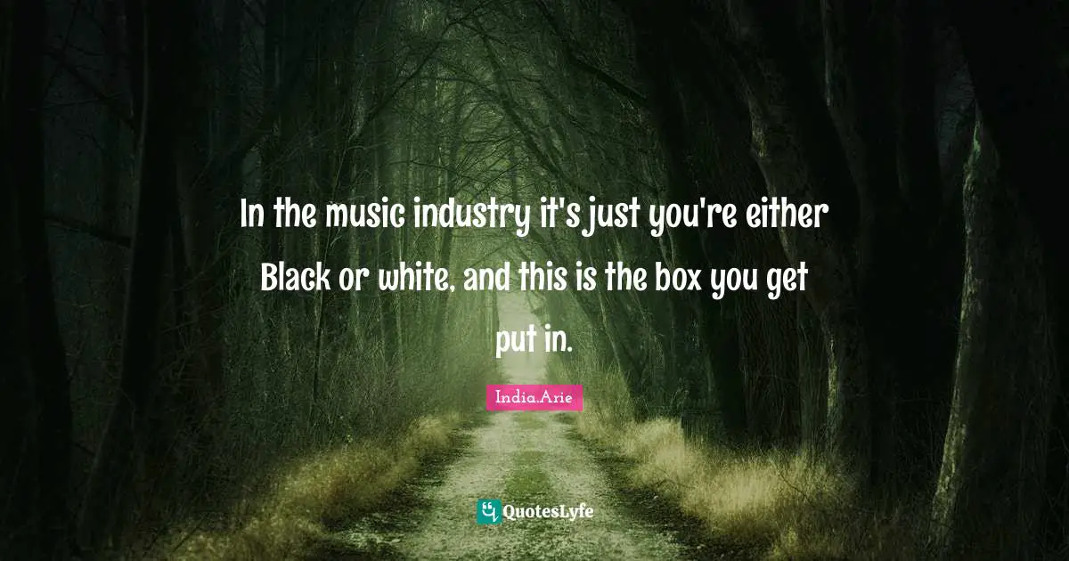 In the music industry it's just you're either Black or white, and this is the box you get put in.