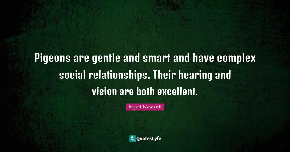 Ingrid Newkirk Quotes: "Pigeons are gentle and smart and have complex social relationships. Their hearing and vision are both excellent."