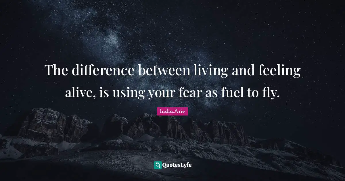 The difference between living and feeling alive, is using your fear as fuel to fly.