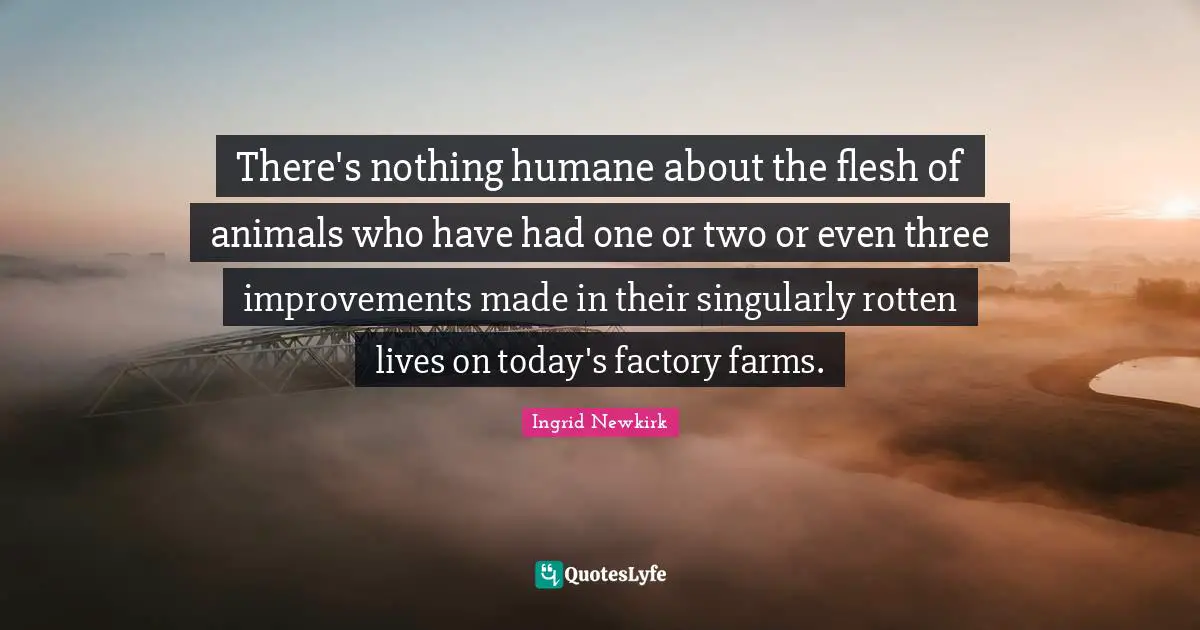 Ingrid Newkirk Quotes: "There's nothing humane about the flesh of animals who have had one or two or even three improvements made in their singularly rotten lives on today's factory farms."