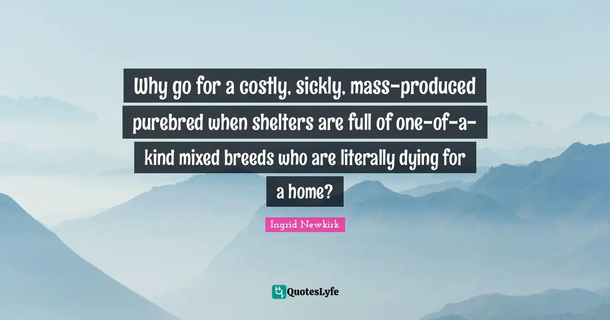 Ingrid Newkirk Quotes: "Why go for a costly, sickly, mass-produced purebred when shelters are full of one-of-a-kind mixed breeds who are literally dying for a home?"