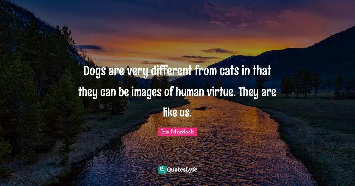 Dogs are very different from cats in that they can be images of human virtue. They are like us.
