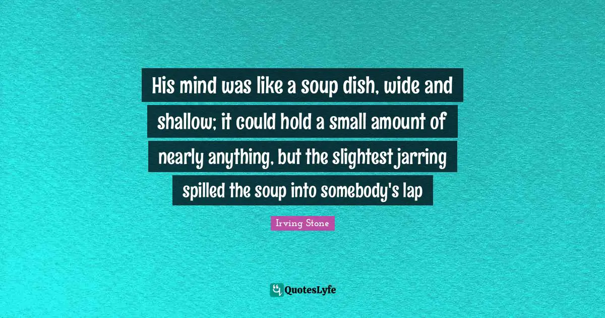 His mind was like a soup dish, wide and shallow; it could hold a small amount of nearly anything, but the slightest jarring spilled the soup into somebody's lap