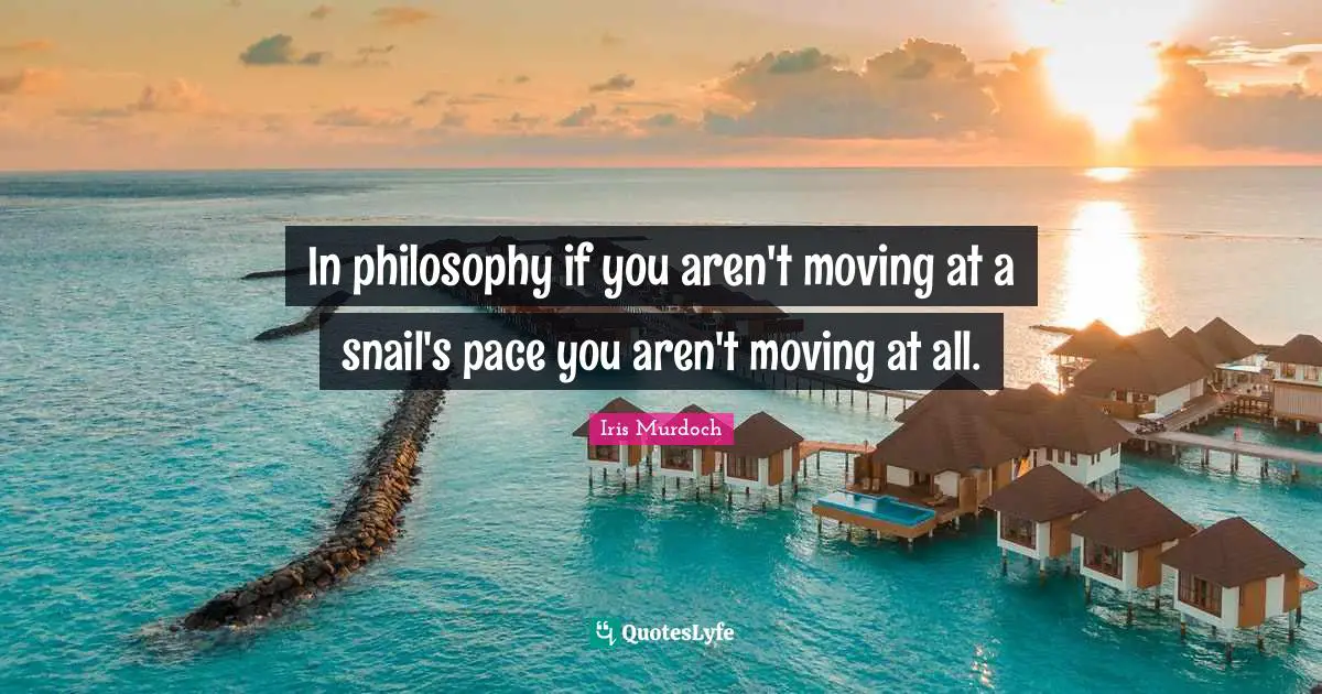 Pace Quotes: "In philosophy if you aren't moving at a snail's pace you aren't moving at all."