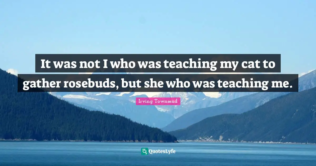 It was not I who was teaching my cat to gather rosebuds, but she who was teaching me.