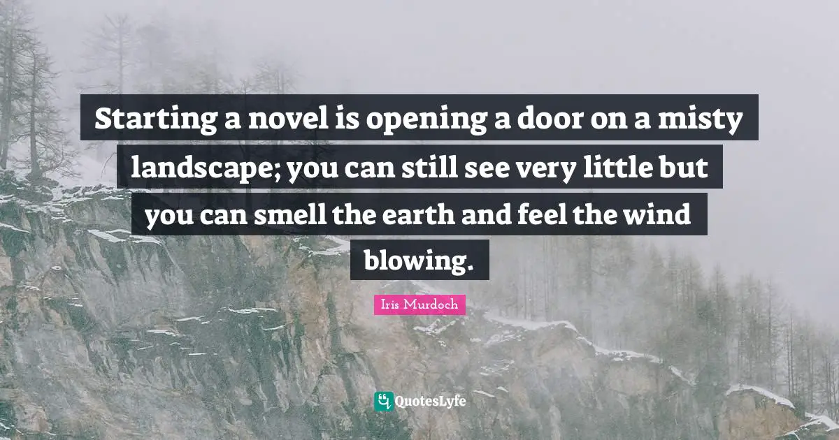 Starting a novel is opening a door on a misty landscape; you can still see very little but you can smell the earth and feel the wind blowing.
