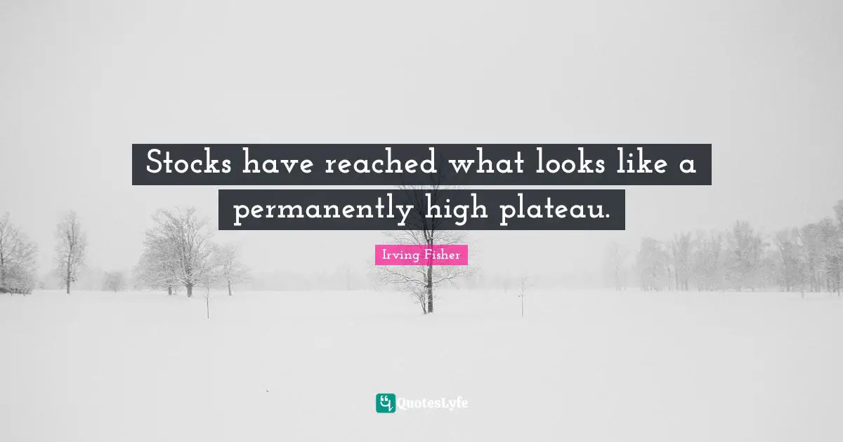 Depression Quotes: "Stocks have reached what looks like a permanently high plateau."
