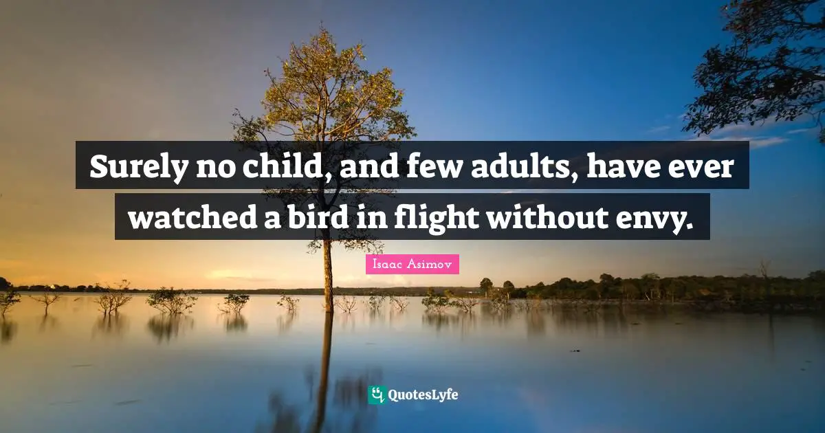 Surely no child, and few adults, have ever watched a bird in flight without envy.