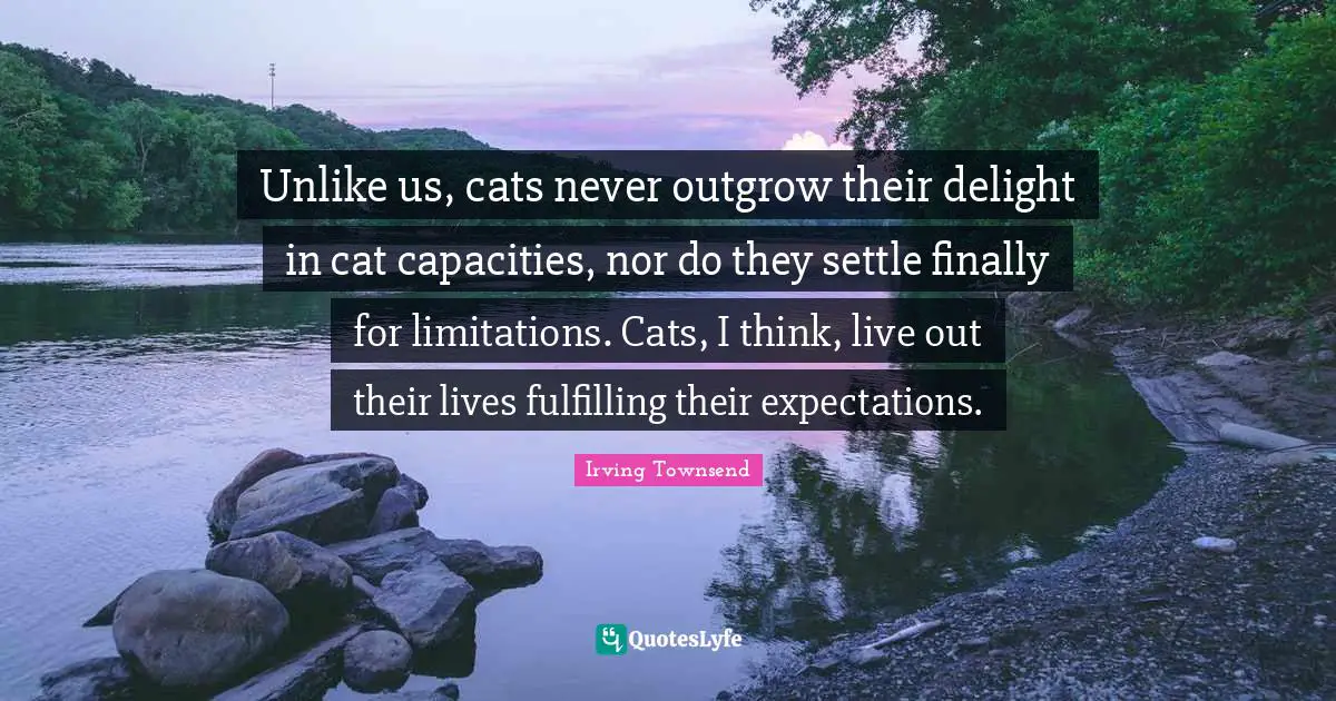 Unlike us, cats never outgrow their delight in cat capacities, nor do they settle finally for limitations. Cats, I think, live out their lives fulfilling their expectations.