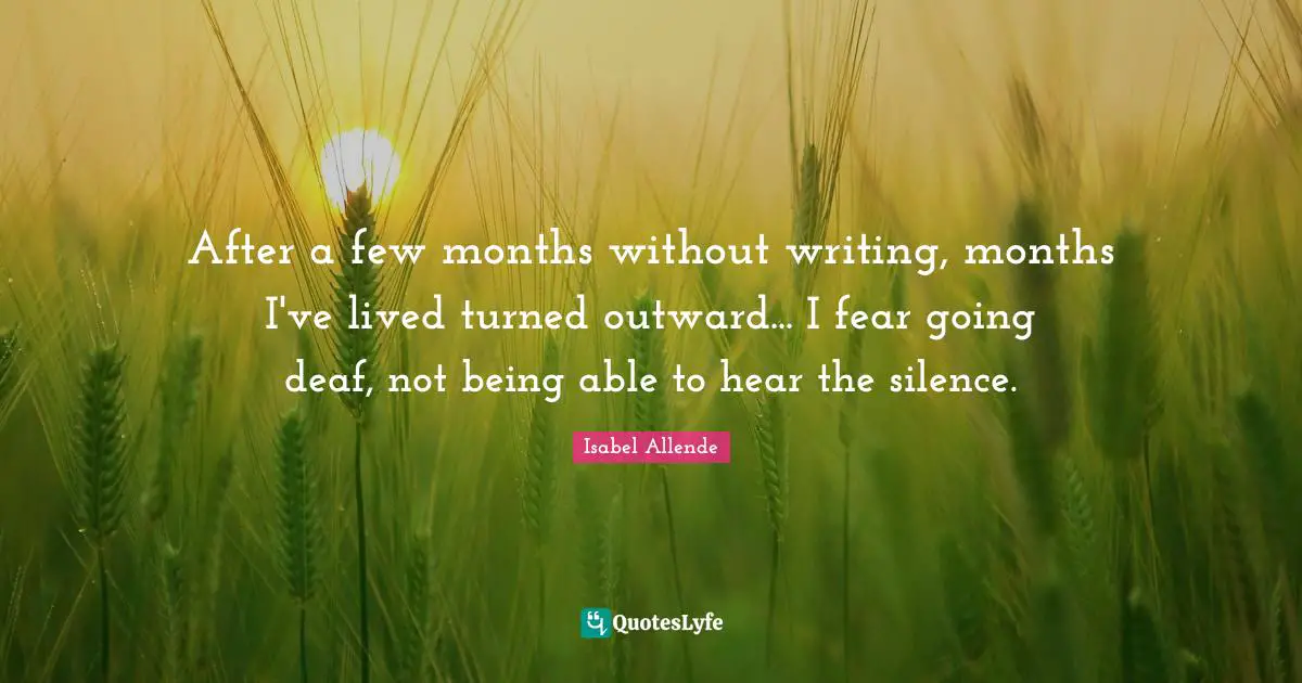 After a few months without writing, months I've lived turned outward... I fear going deaf, not being able to hear the silence.