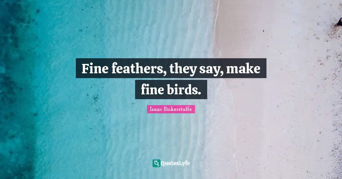 Fine Feathers Quotes: "Fine feathers, they say, make fine birds."