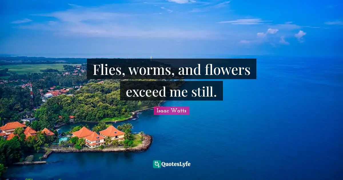 Isaac Watts Quotes: "Flies, worms, and flowers exceed me still."