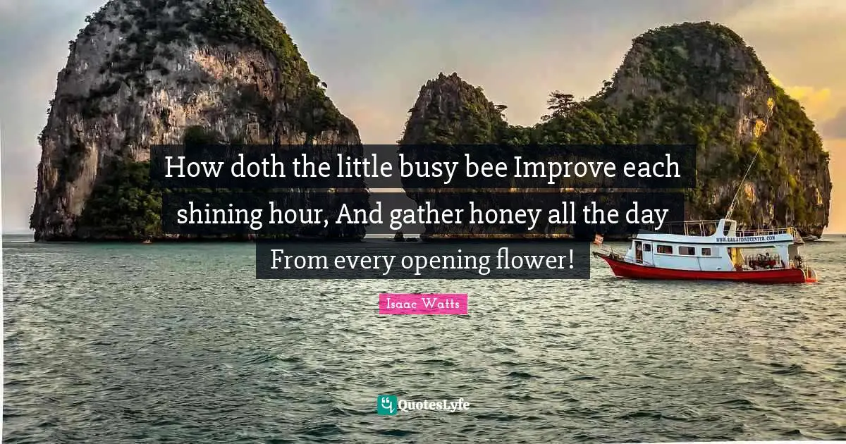 Isaac Watts Quotes: "How doth the little busy bee Improve each shining hour, And gather honey all the day From every opening flower!"
