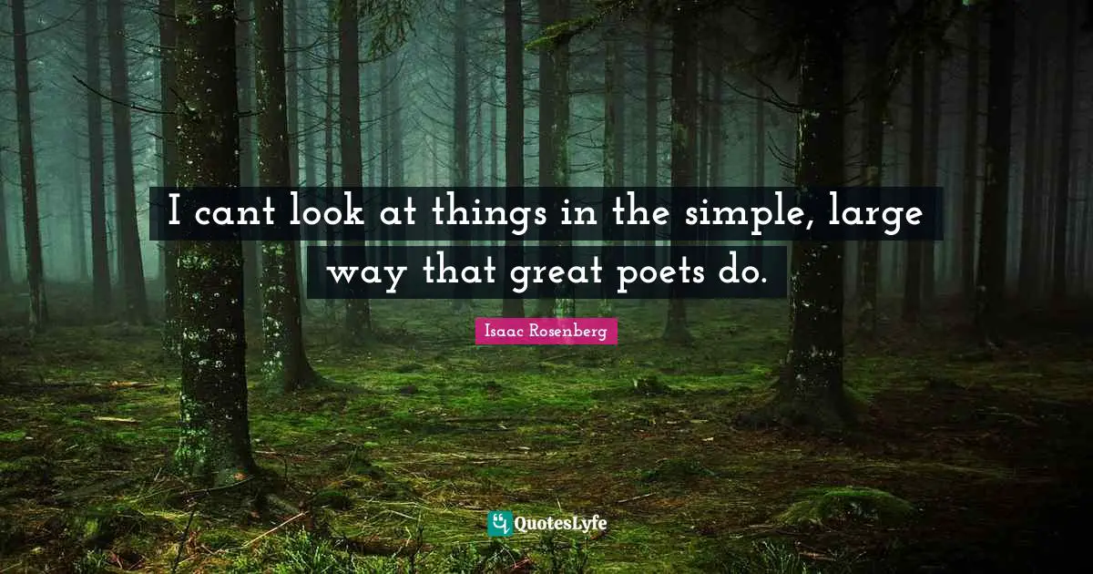 I cant look at things in the simple, large way that great poets do.