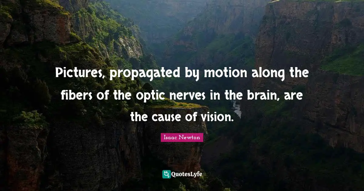 Pictures, propagated by motion along the fibers of the optic nerves in the brain, are the cause of vision.